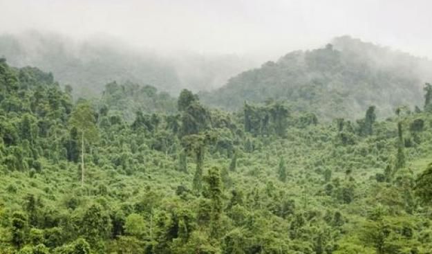 Le Fonds vert pour le climat cristallise les tensions des négociations climatiques