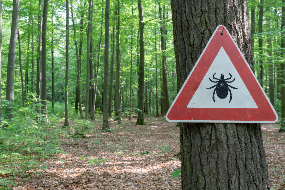 En Europe, il n&rsquo;existe pas de description précise de l’épidémiologie de la maladie de Lyme.