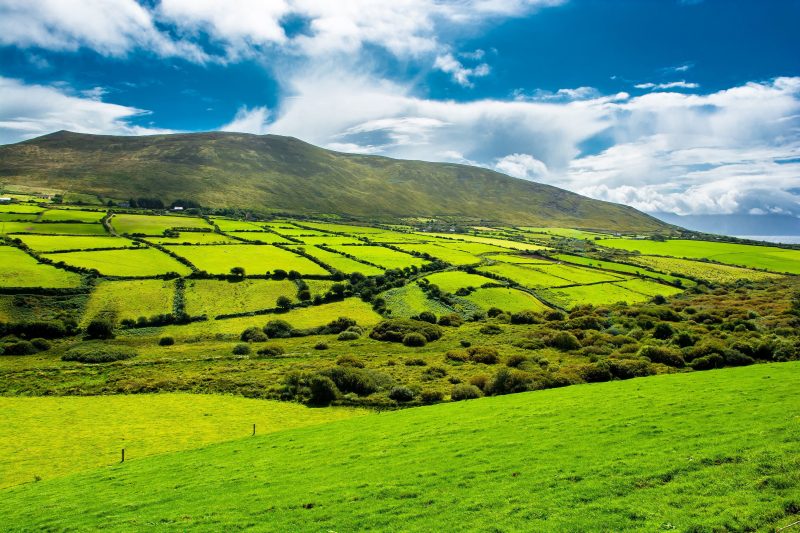 L’agroécologie pourrait nourrir l’Europe sans pesticide en 2050