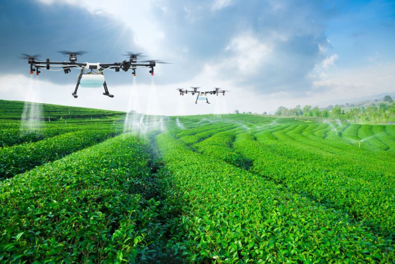 L'essor du numérique dans  l’agriculture peine à s'intégrer à la PAC