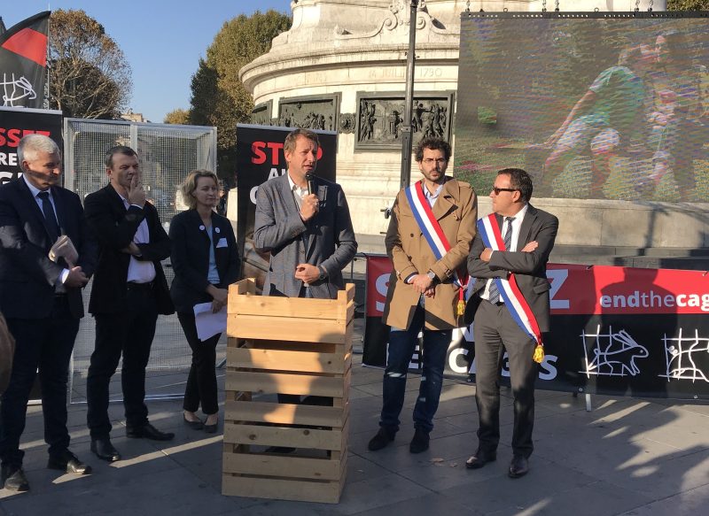 Une initiative contre les cages en Europe veut défendre la condition animale