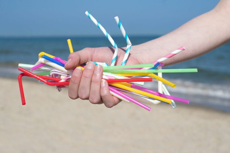 Nouveau tour de vis contre les plastiques jetables