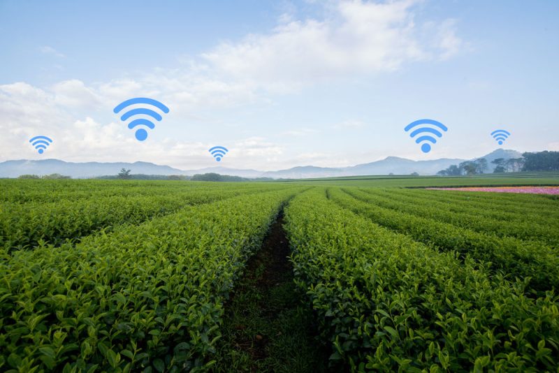 Top départ pour l’agriculture 2.0 en Grèce