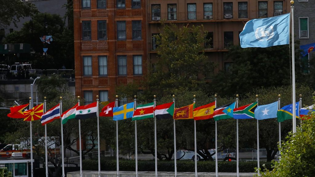 UN flags