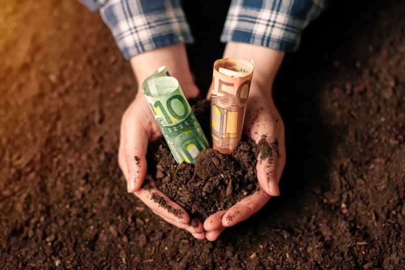 La Cour des comptes doute de l&rsquo;ambition verte de la PAC