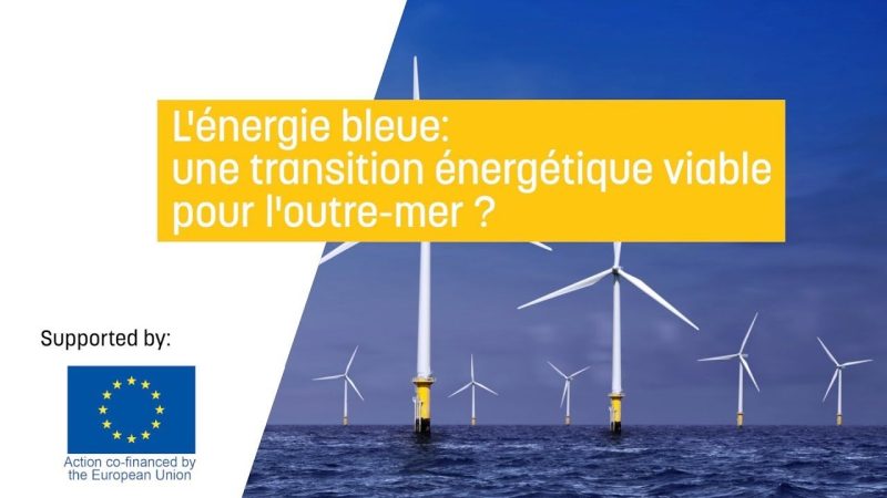 Energie bleue: une transition énergétique viable pour l'Outre-mer ?
