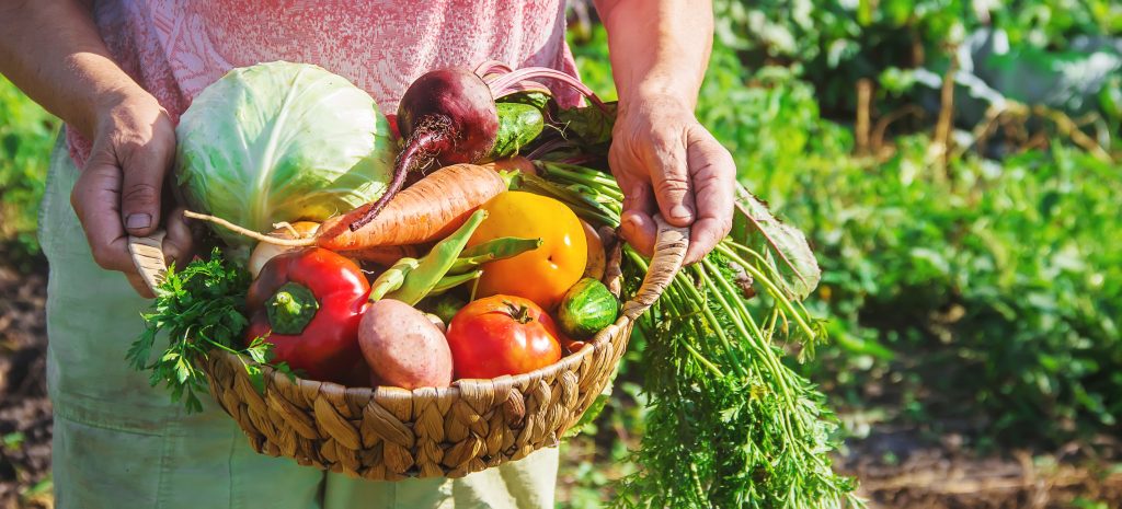 Paiements services environnementaux