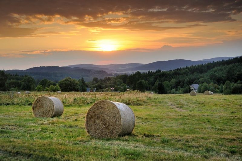 «On se dirige vers une agriculture financiarisée»
