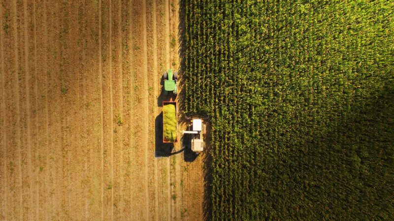 «L’UE doit faire de l'alimentation un sujet politique»