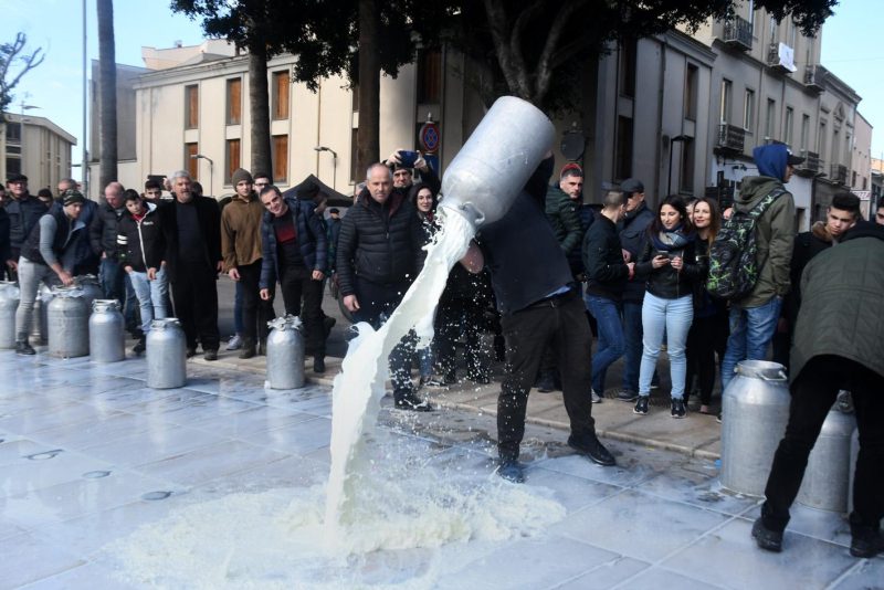En Italie, la crise du lait de brebis gêne Salvini 
