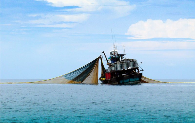 La pêche électrique sera bannie de l'UE en 2021