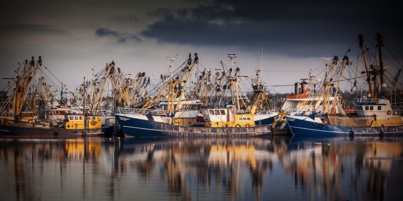 La pêche électrique aux Pays-Bas dans le collimateur de Bruxelles