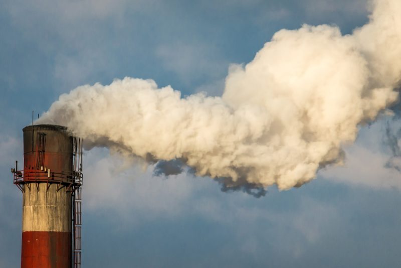 Ce que fera le Haut Conseil pour le Climat en 2020