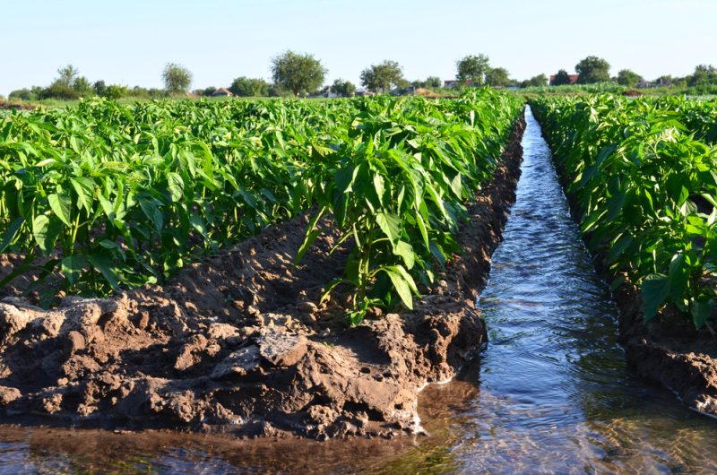 Le Parlement européen favorise la réutilisation des eaux usées