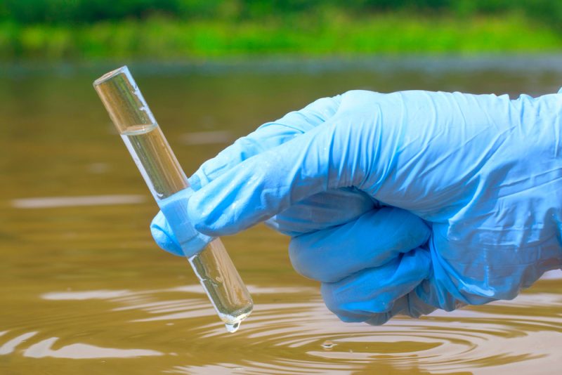 L'Allemagne peine à gérer la surabondance de nitrates