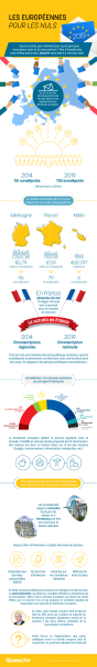 Les élections européennes pour les nuls