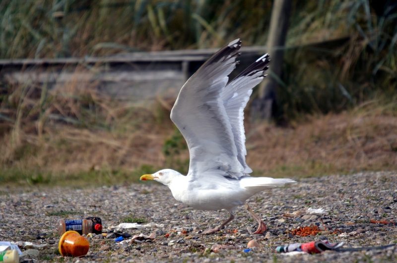Les microplastiques voyagent aussi dans les airs