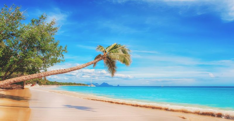 La France perd chaque année 5 milliards d'euros dans les paradis fiscaux