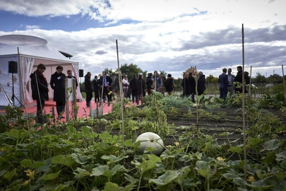 Lyon mise sur les semences locales pour sa sécurité alimentaire