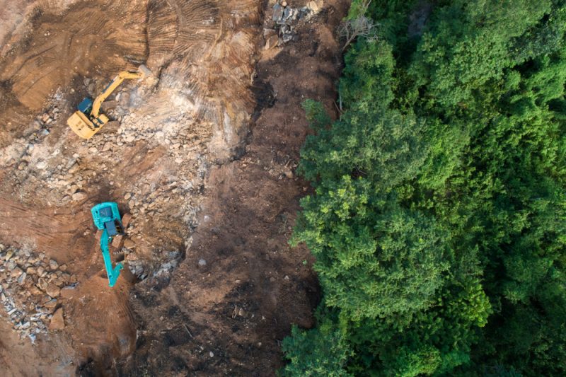 12 millions d’hectares de forêts détruits en 2018
