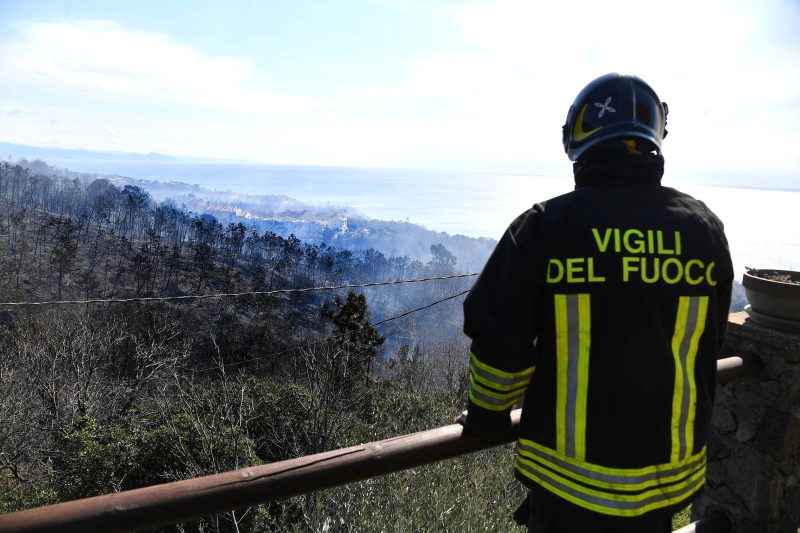 Les forêts européennes partent en fumée