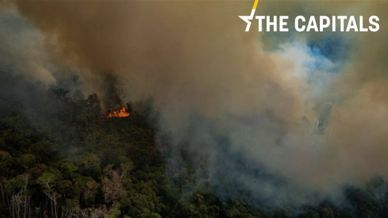 L’actu en capitales : l'UE divisée sur l’accord Mercosur après les feux de forêt en Amazonie