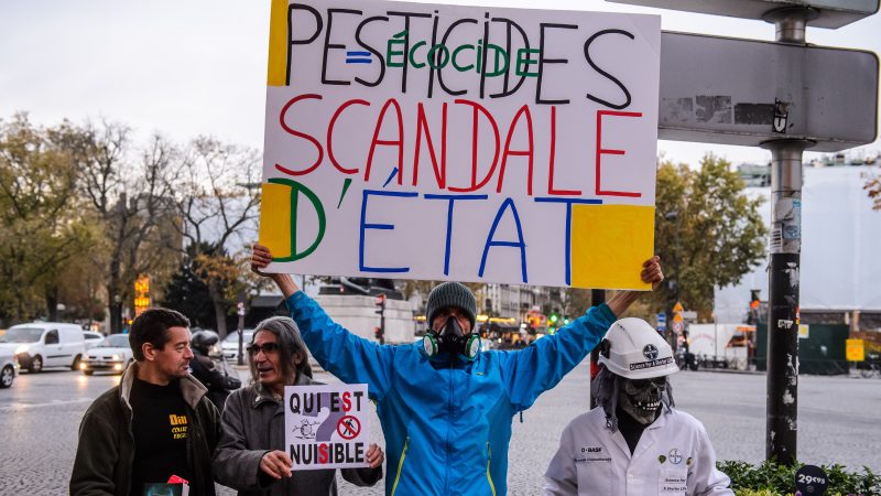 La Cour des comptes tire la sonnette d'alarme sur les produits phytosanitaires