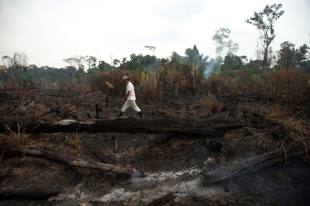 Porto Velho continue fighting against forest fires