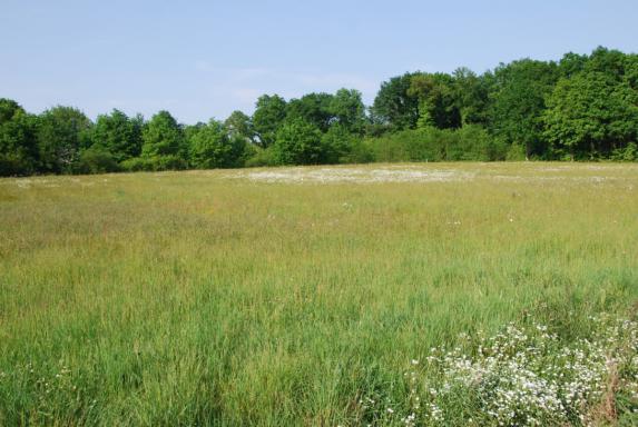 La sécheresse fragilise les mesures environnementales du secteur agricole