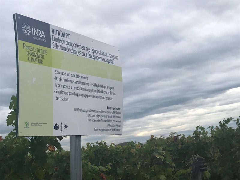 Le Bordeaux veut gérer le changement climatique en tournant la page de la chimie