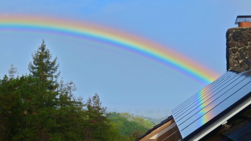 L’industrie photovoltaïque européenne enregistre un boom en 2019