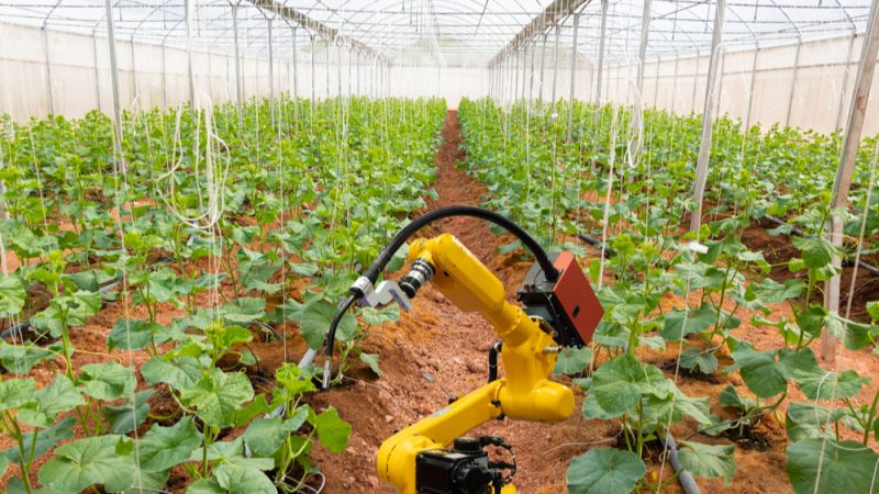 Innovation, PAC et Green Deal : une équation difficile ?