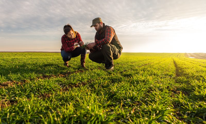 Politique Agricole Commune. Quel accompagnement pour encourager l’installation des jeunes agriculteurs ?