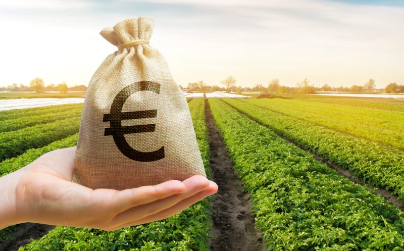 Le PAC rabotée de 5 milliards d'euros dans le projet de budget de l’UE