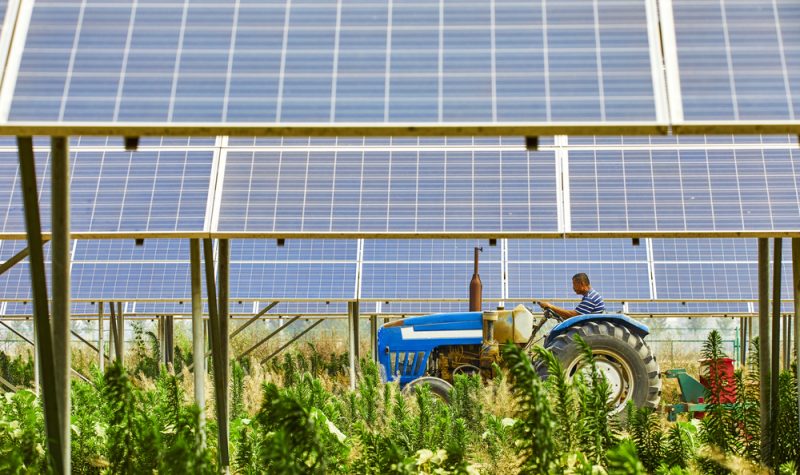 De l’agrivoltaïsme, oui, mais pas n’importe comment