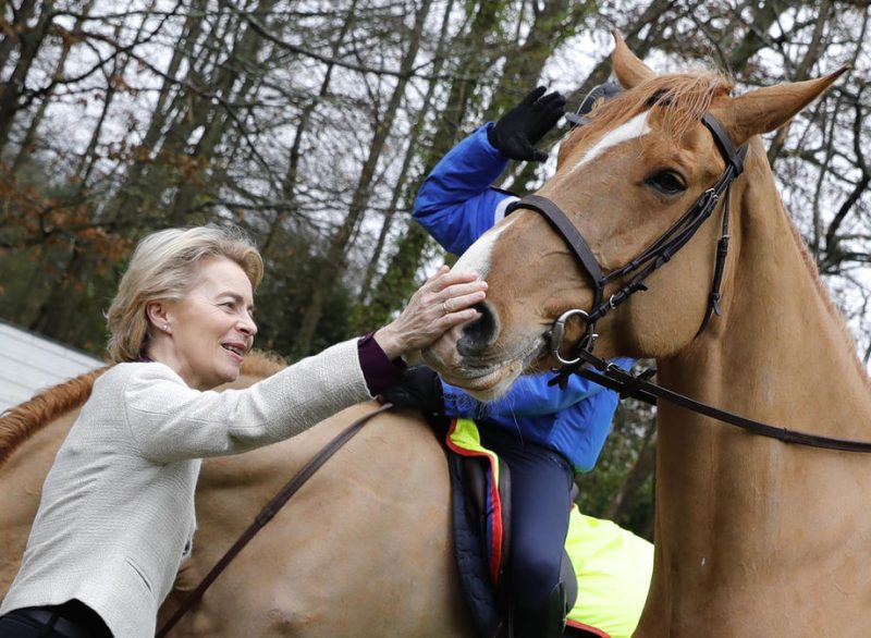 TVA et Brexit inquiètent les éleveurs de chevaux français