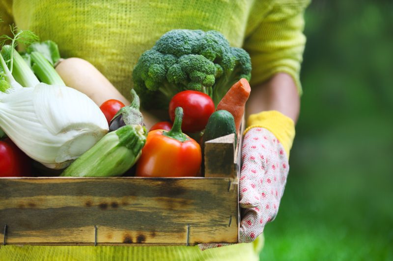 La Commission envisage de nouveaux objectifs pour sa politique alimentaire