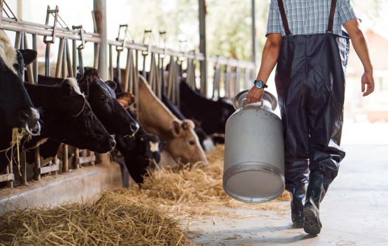 Les ministres européens appellent la Commission à venir en aide aux agriculteurs