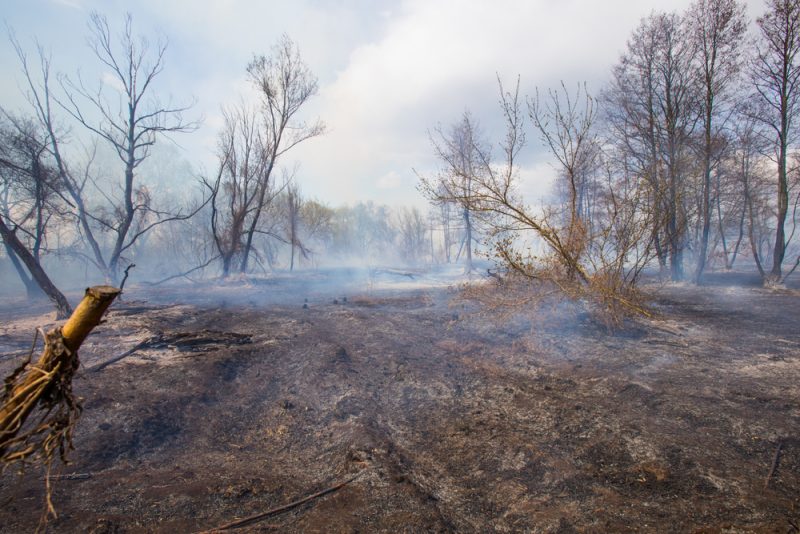 Voici à quoi ressemble Tchernobyl après les incendies ravageurs
