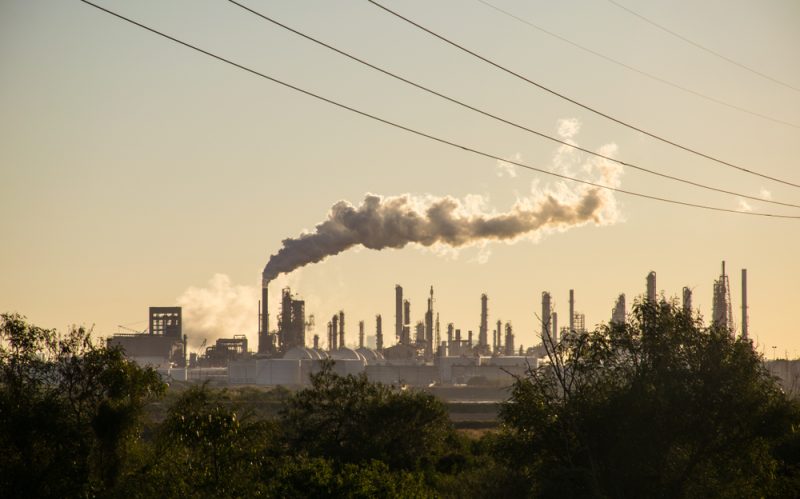 Le WWF met en garde contre l’aggravation de la crise climatique après la pandémie