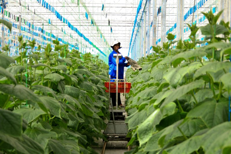 Malgré la COVID-19, le secteur européen agricole souhaite s’étendre davantage