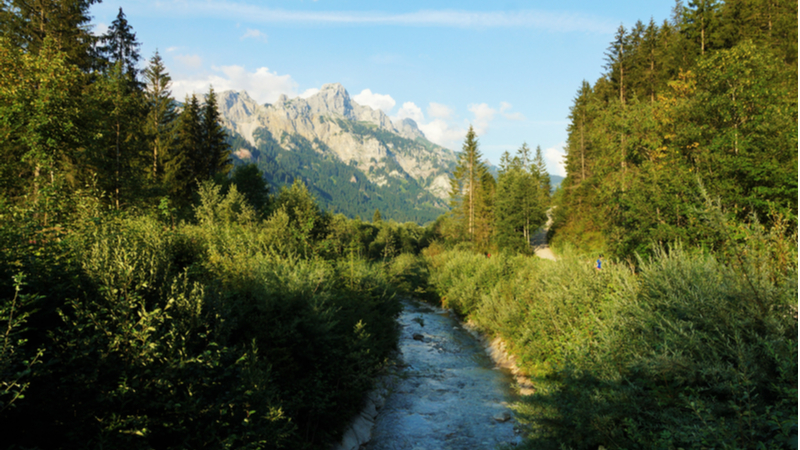 La filière bois alpine, une opportunité à saisir