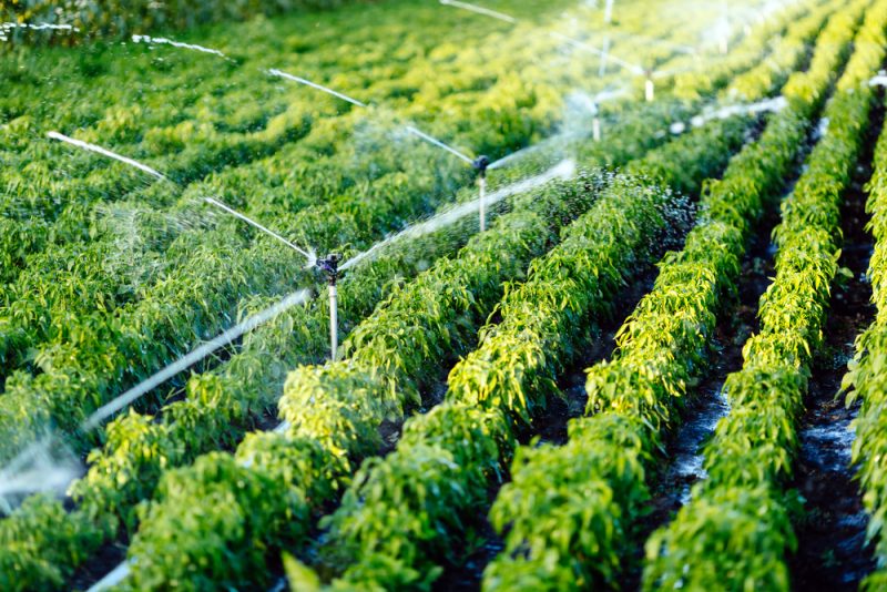 Chaque goutte compte : quelles sont les solutions pour contrer la sécheresse dans l'UE ?