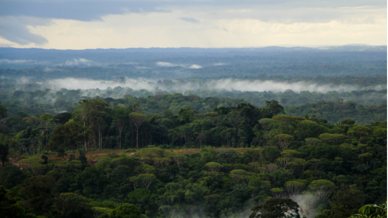 Exclusif : en Guyane, la construction d’une nouvelle centrale thermique en bonne voie