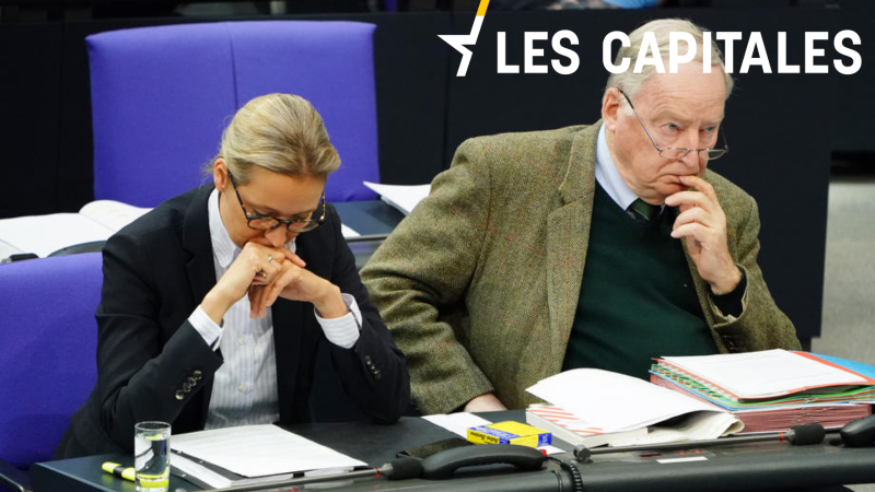 Dons illégaux : l'amende est salée pour l'AfD