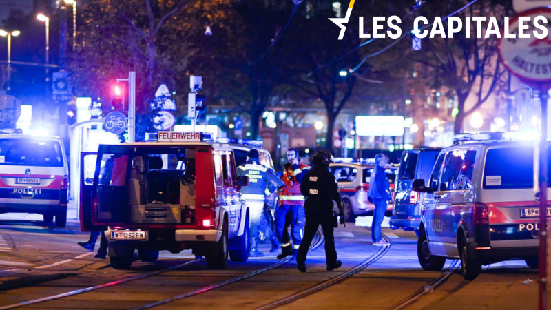 Attentat en Autriche, Vienne se réveille groggy