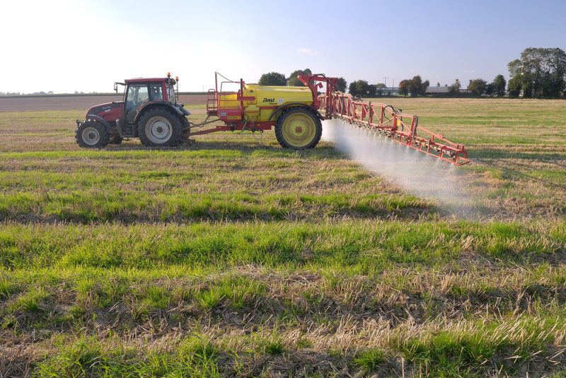 Le glyphosate, encore utilisé et toujours contesté