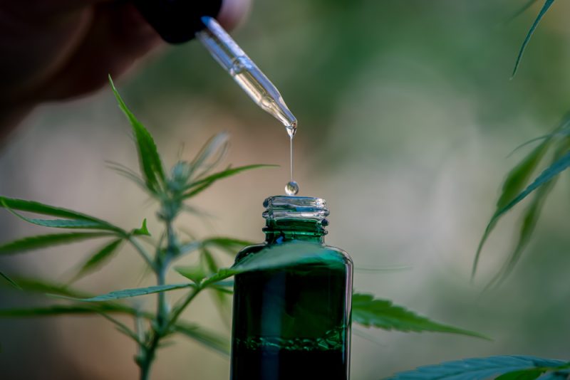 Pour la Cour de justice de l’Union européenne, le cannabidiol n'est pas un stupéfiant