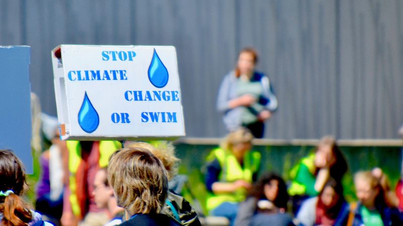Sommet européen : y a-t-il une place pour le climat ?