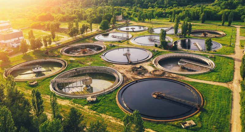 Petits mais puissants, les micropolluants affectent durablement les écosystèmes aquatiques